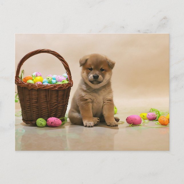 Cartão Postal De Festividades Páscoa Shiba Inu (Frente)