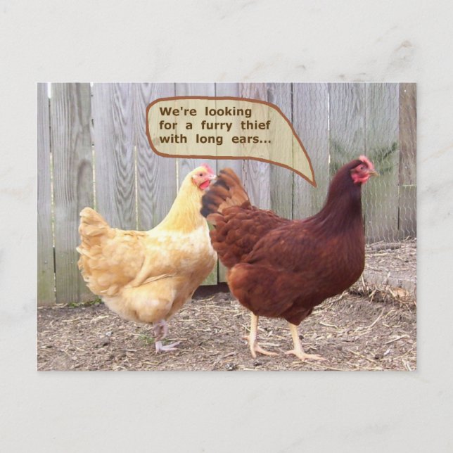 Cartão Postal De Festividades Páscoa Surpresa! (Frente)