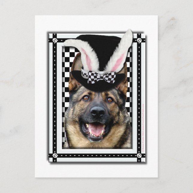 Cartão Postal De Festividades Páscoa - Um Coelhinho Te Ama - German shepherd (Frente)