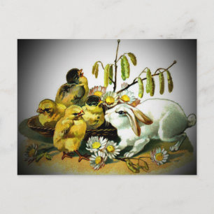 Cartão Postal De Festividades Páscoa Vintage Pintinhos de Coelho Branco e Bebê