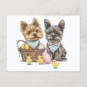Cartão Postal De Festividades Páscoa Yorkshire Terrier Dogs