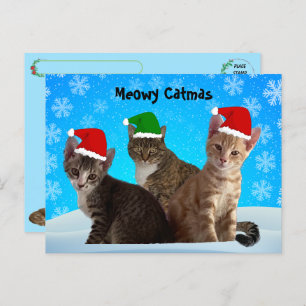 Cartão Postal De Festividades Passagem - Annie, Taz e Tito - Natal Gato