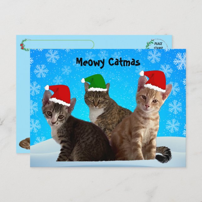 Cartão Postal De Festividades Passagem - Annie, Taz e Tito - Natal Gato (Frente/Verso)