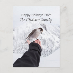 Cartão Postal De Festividades Pássaro De Inverno No Cartão De Natal Da Neve