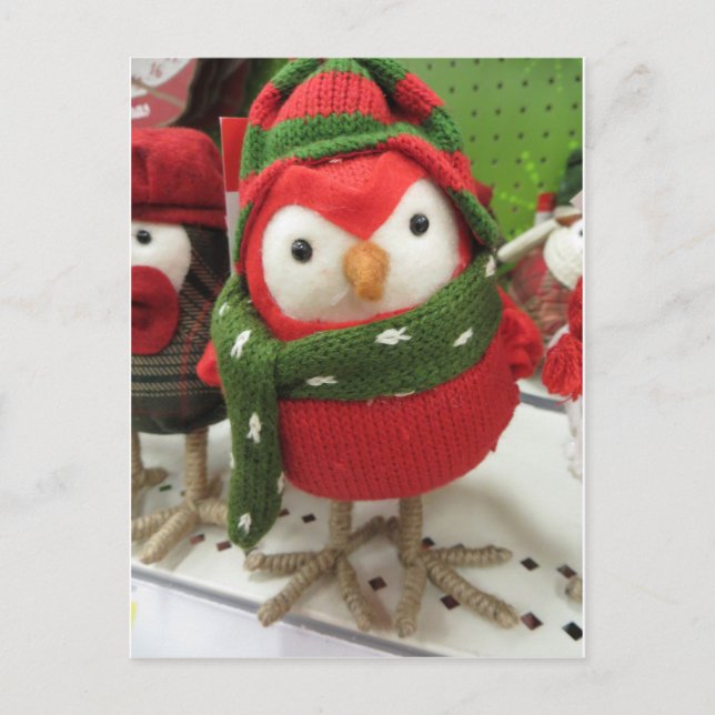 Cartão Postal De Festividades Pássaro de Natal (Frente)