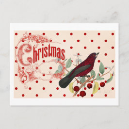 Cartão Postal De Festividades Pássaro de Natal Vermelho
