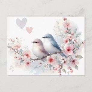 Cartão Postal De Festividades Pássaros de Amor Romântico no Ramo de Cerejeira em