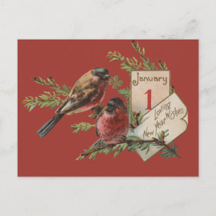 Cartão Postal De Festividades Pássaros de Ano Novo Vintage