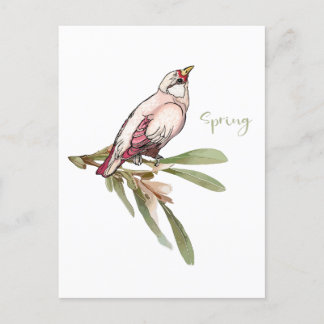 Cartão Postal De Festividades Pássaros de flores de primavera. Quedas de neve.