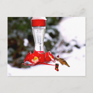 Cartão Postal De Festividades Pássaros e neve natalinos