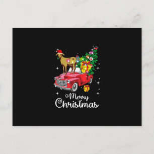 Cartão Postal De Festividades Passeio de Cabra Carro Vermelho Natal