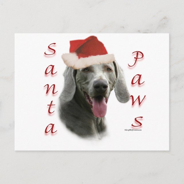 Cartão Postal De Festividades Patas do papai noel de Weimaraner (Frente)