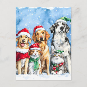 Cartão Postal De Festividades Patas Nevadas Festivo Fofo Natal Animais de Estima