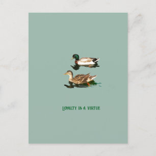 Cartão Postal De Festividades Patos-de-pata