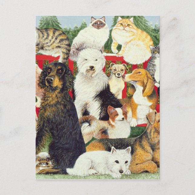 Cartão Postal De Festividades Paz de Natal (Frente)