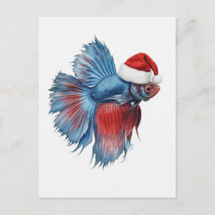 Cartão Postal De Festividades Peixe Betta de Chapéu de Papai Noel Natação Natal 