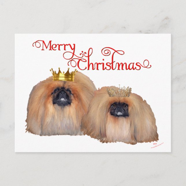 Cartão Postal De Festividades Pekingese Christmas (Frente)