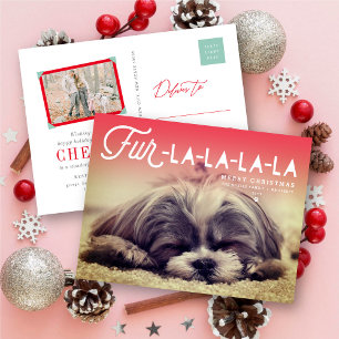 Cartão Postal De Festividades Pelo La La La La Script Dog Lover Foto Engraçado 