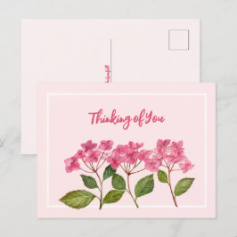 Cartão Postal De Festividades Pensando em si Hydrangea Lacecaps, Cor de Água Ros