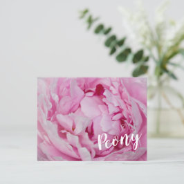 Cartão Postal De Festividades Peony Blossom Rosa para amantes de flores e jardin
