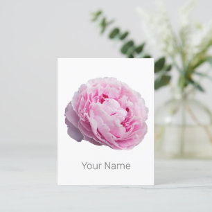 Cartão Postal De Festividades Peony Blossom Rosa Para Flor E Lover De Jardim