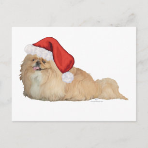 Cartão Postal De Festividades Pequinês Papai Noel