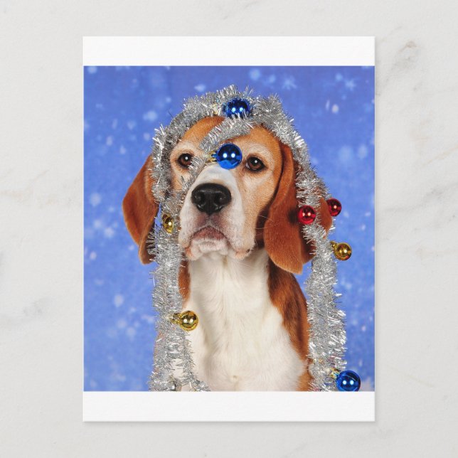 Cartão Postal De Festividades Percalço do Natal (Frente)