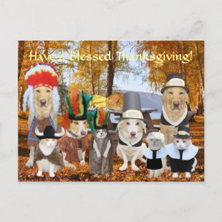 Cartão Postal De Festividades Pés Engraçados Personalizáveis e Peregrinos