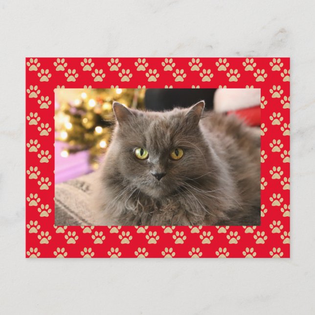 Cartão Postal De Festividades Pet Cat Personalizada Foto de Feliz Natal (Frente)