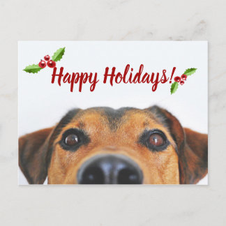 Cartão Postal De Festividades Pet Holiday Photo