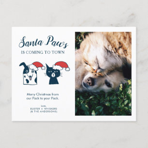 Cartão Postal De Festividades Pet Photo   Papais noeis   Cat Dog Natal