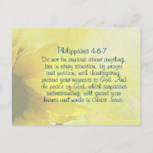 Philippians 4:6-7 A Paz de Deus, Bíblia Verse