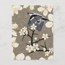 Cartão Postal De Festividades Picanço