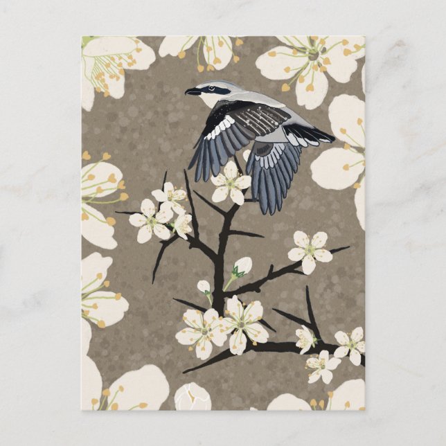 Cartão Postal De Festividades Picanço (Frente)