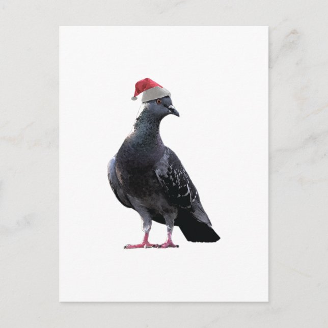 Cartão Postal De Festividades Pigeon Santa Hat (Frente)
