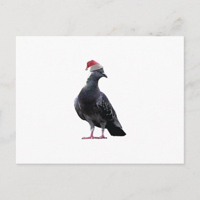 Cartão Postal De Festividades Pigeon Santa Hat (Frente)