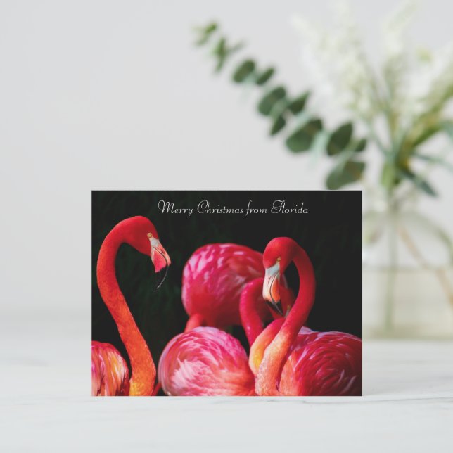 Cartão Postal De Festividades Pink Flamingo's, Feliz Natal da Flórida (Em pé/Frente)