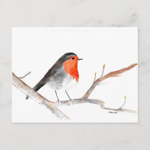 Cartão Postal De Festividades Pintura Robin das Cores d'água