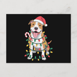 Cartão Postal De Festividades Pitbull de Natal Cachorro Chapéu do Papai Noel Luz