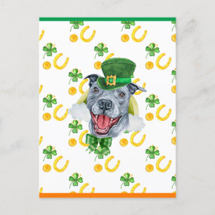 Cartão Postal De Festividades Pitbull Shamrock Padrão Dia de São Patrício
