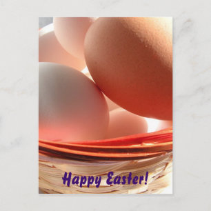 Cartão Postal De Festividades Placa de felz pascoa