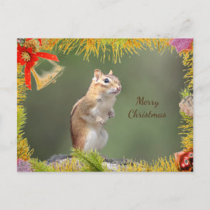 Cartão Postal De Festividades Placa de Natal Chipmunk