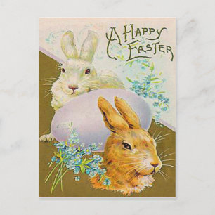 Cartão Postal De Festividades Placa de Páscoa de Coelhinho de Ovo de Páscoa Vi