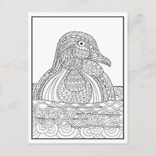 Cartão Postal De Festividades Placa Pato Preta e Branca