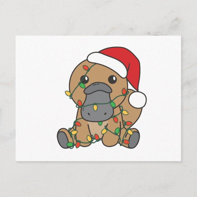Cartão Postal De Festividades Platypus Natal Animais de inverno no Platypus (Frente)