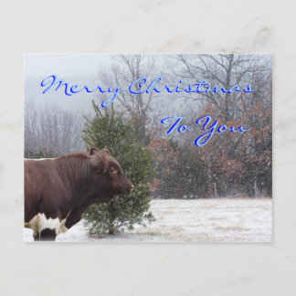 Cartão Postal De Festividades PLB Feliz Natal personalizado