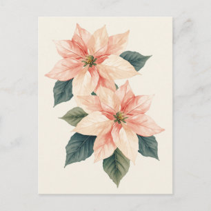 Cartão Postal De Festividades Poinsettia Aquarela Férias Pastel Natal