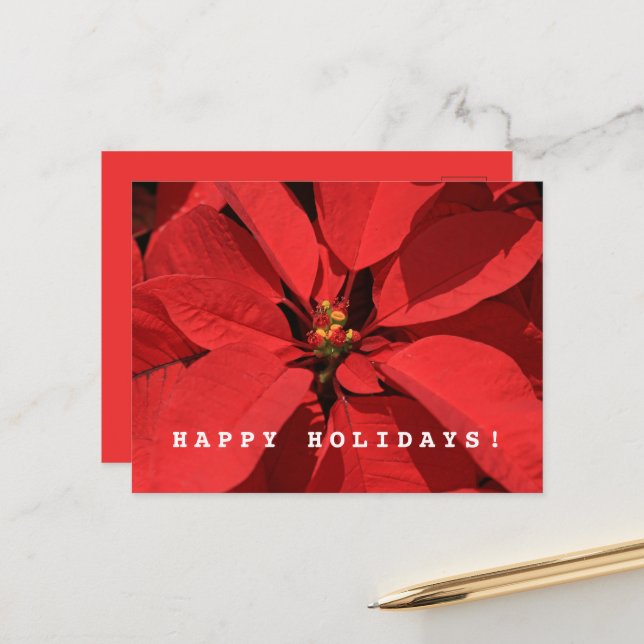 Cartão Postal De Festividades Poinsettia Feliz Feliz ano novo de Natal (Frente/Verso In Situ)