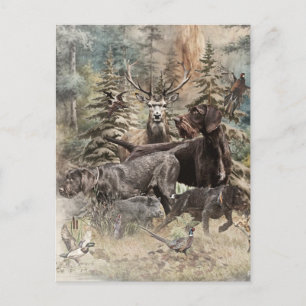 Cartão Postal De Festividades Pointer de Cabelo Rijo Alemão