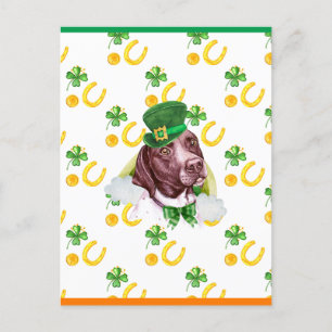 Cartão Postal De Festividades Pointer Shamrock Dia de São Patrício